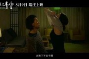 国产黄电影,揭秘中国电影市场的独特魅力与挑战